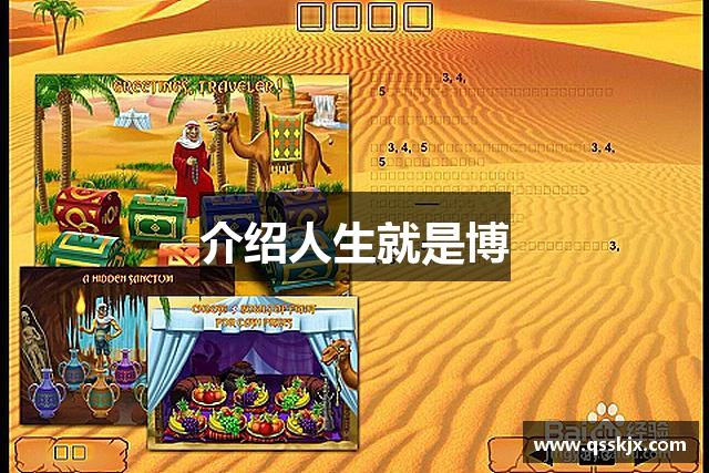 介绍人生就是博